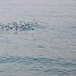 מלון דירות Le Due Sorelle
